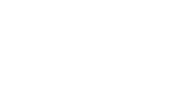 Grupo Vida